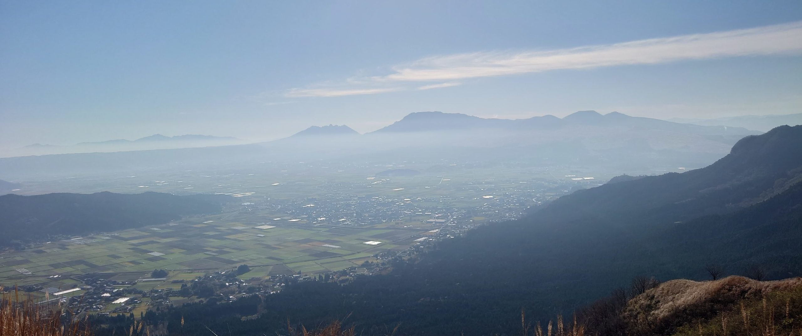 くまもと生産連携交流協同組合